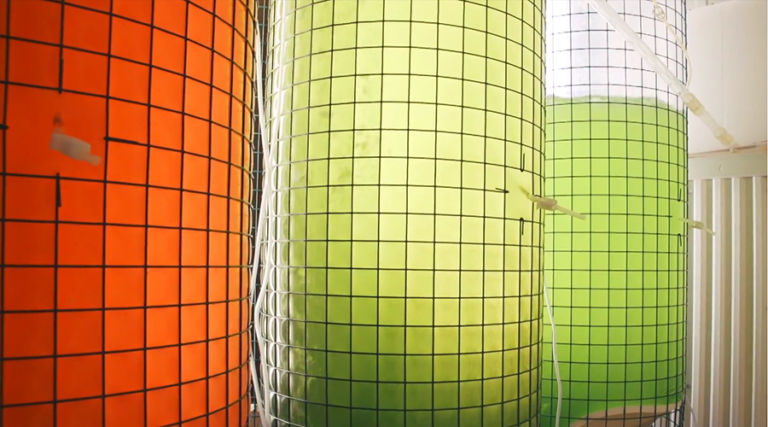 Introduction to The Norwegian Bioeconomy