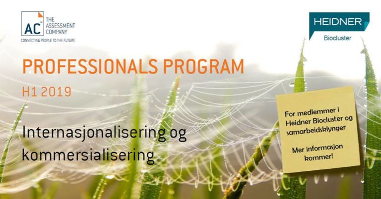 Professionals Program