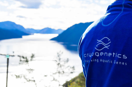 Cryogenetics