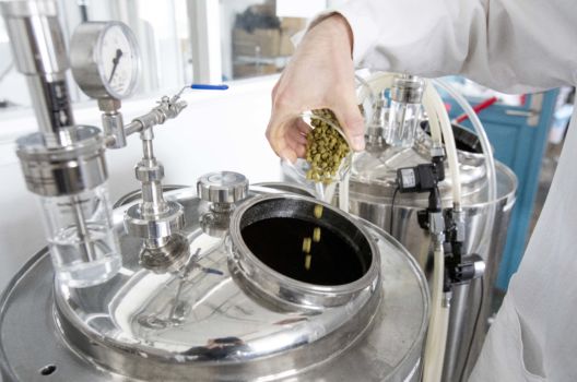 NMBU – Norges miljø- og biovitenskapelige universitet