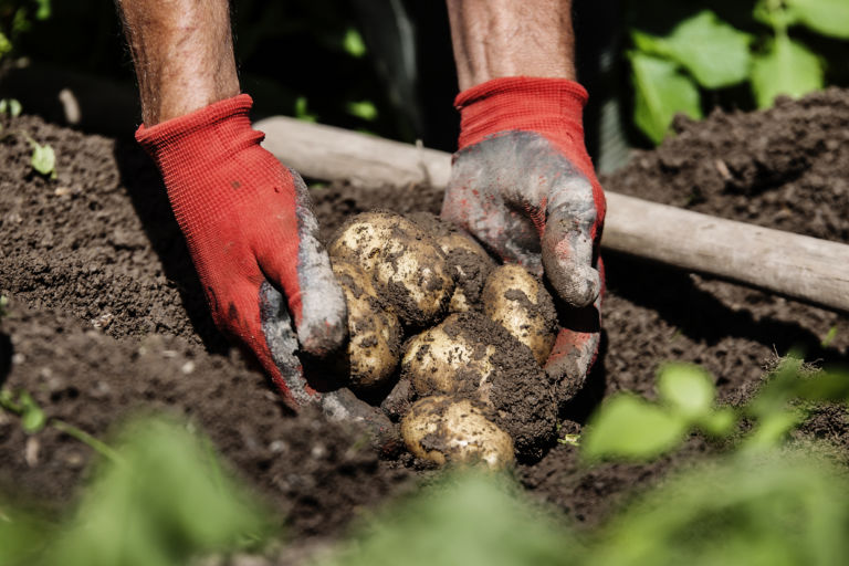 BioConserve-prosjektet får 500.000 fra Norges Forskningsråd