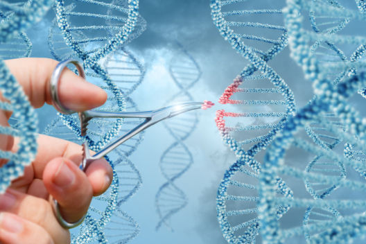 EU-studie peker ut kursen for ny genteknologipolitikk