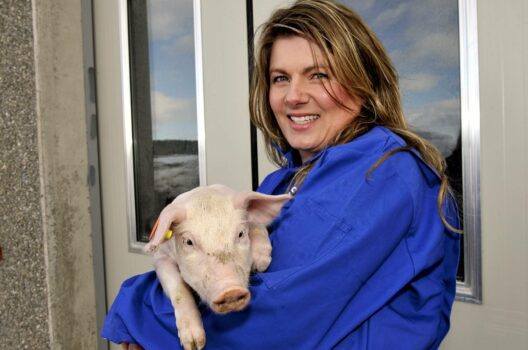FORBEREDT: Hvordan bidrar Norsvin og svinenæringa til å gjøre svinekjøtt klimavennlig?