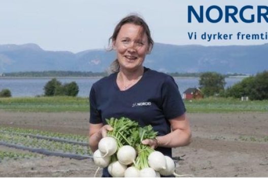 NORGRO AS