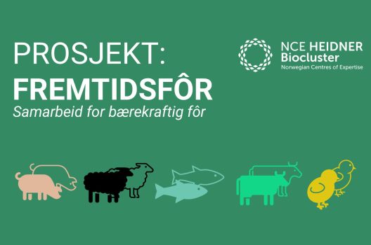 Prosjekt: Fremtidsfôr – samarbeid for bærekraftig fôr