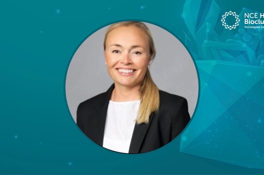 EU tar opp kampen mot digitale trusler – hva betyr dette for cybersikkerheten i Norge?