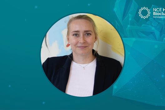 Hvordan kan cyberangrep påvirke den norske matsektoren?