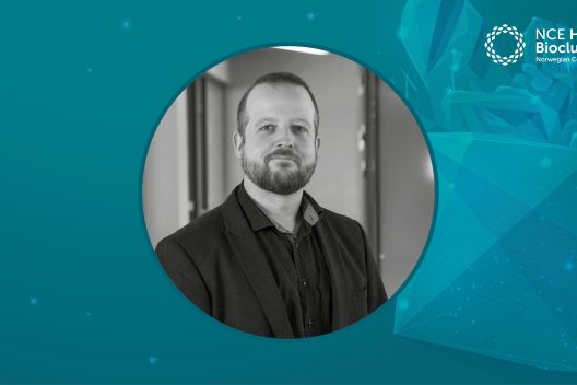 ROS-analyse (risiko- og sårbarhetsanalyse)