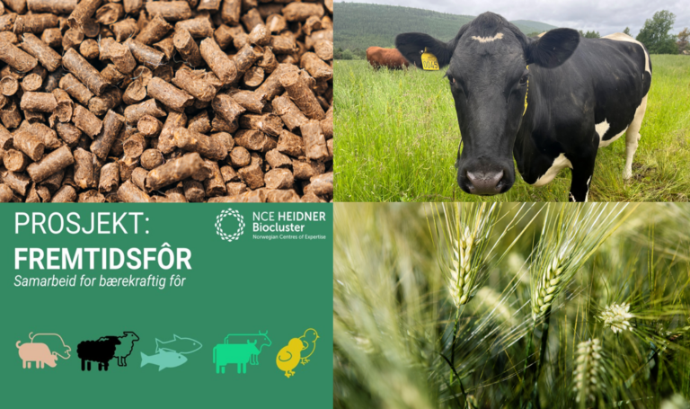 Nye regelverk kan frigi minst 300 000 tonn nye råvarer