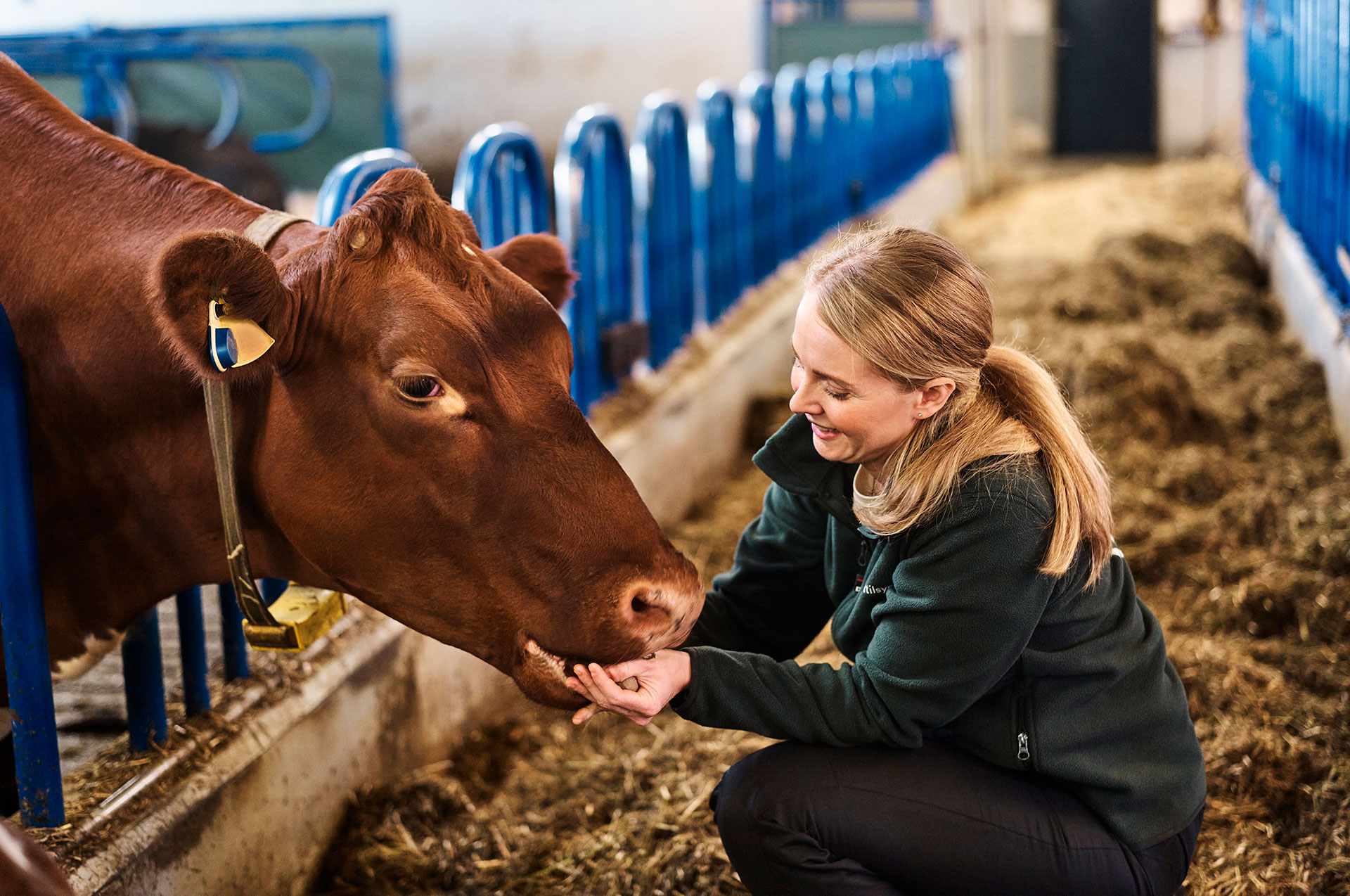 Smarte øremerker: datastandarder og regelverk som fremmer innovasjon