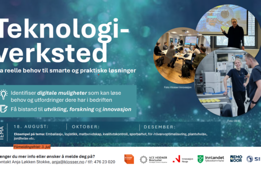 Teknologiverksted – fra reelle behov til smarte og praktiske løsninger