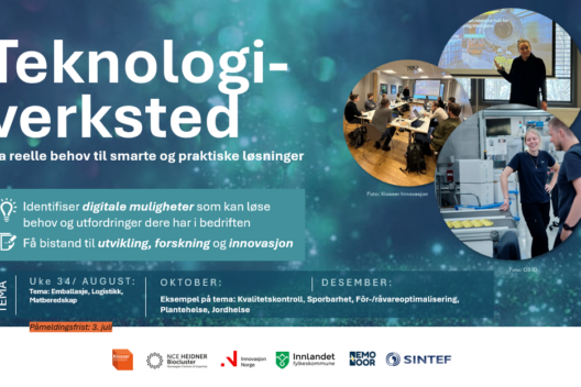 Teknologiverksted – fra reelle behov til smarte og praktiske løsninger