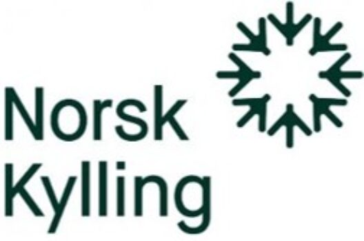 Norsk Kylling
