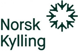 Norsk Kylling